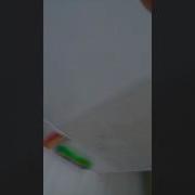 초딩 보지