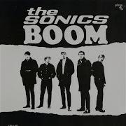 Shot Down The Sonics