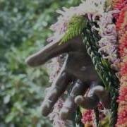 Molokai Face Book