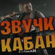 Озвучка Кабана Тарков