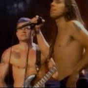 Woodstock 1994 Highlights Higher Ground Red Hot Chili Peppers 8 12