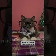 Сочинение Котинет