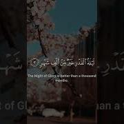 Qurra Voice Best Of Laylatul Qadr