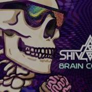 Brain Cookies Shivatree