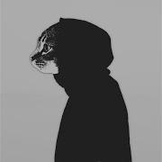 Amnesia Mr Kitty