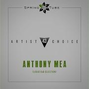 Anthony Mea Liquid