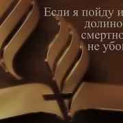 Если Я Пойду И Долиною Смертной Тени Не Убоюсь Зла Андрей Викторович