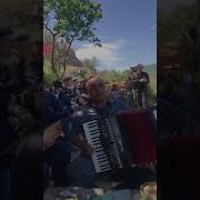 Муталим Худуц