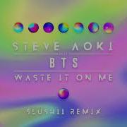 Steve Aoki Waste It On Me Feat Bts Slushii Remix