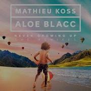 Mathieu Koss Never Growing Up Raven Kreyn Remix