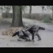 Песня Про Свинью