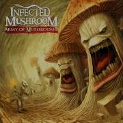 Never Mind Infected Mushroom