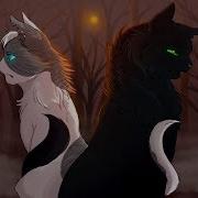 Коты Воители Искра И Остролистая Solo