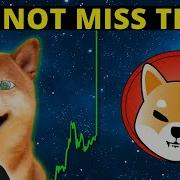 Now Only This Moment Shiba