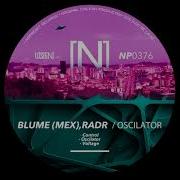 Blume Mex Control