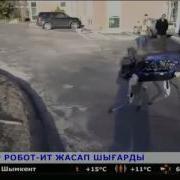Ғалымдар Робот Ит Жасап Шығарды