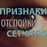 Кровообращение Головы Глаз Исцеление От Катаракты Сытин