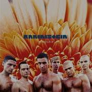 Rammstein Laichzeit