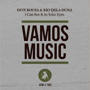 I Can See It In Your Eyes Radio Edit Dvit Bousa Rio Dela Duna