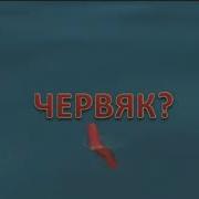 Ничего Себе Что Же Это Всплыло