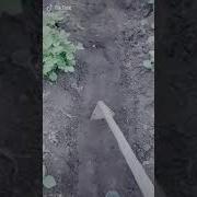 Нахуя Столько Картошки