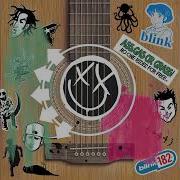 Blink 182 Acoutic