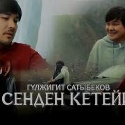 Сен Мени Сезиминден Чип Салгын