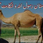 الحاج مولانا مجیب الرحمن انصاری