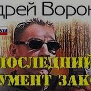 Андрей Воронин Последний Аргумент Закона 1