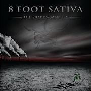 8 Foot Sativa Never Abide