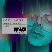 Parallel Universe Nassim Ghribi