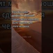Цитаты Со Смыслом Видео