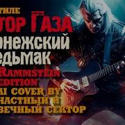 Сектор Газа Воронежский Ведьмак