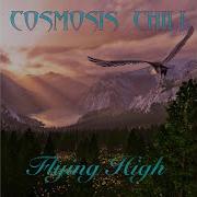 Cosmosis Chill Flying High