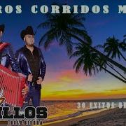 Novillos De La Sierra Mix Grandes Exitos Puros Corridos Mix 2023 Corridos Éxitos Mix 2023