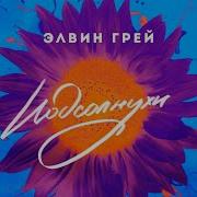 Элвин Грей Подсолнухи