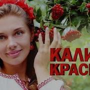 Сборник Ансамбль Калина