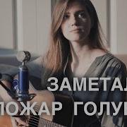 Заметался Пожар Голубои Песня