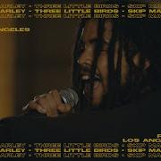 Skip Marley Three Little Birds Bob Marley Sessions Bob Marley