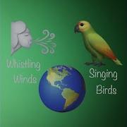 Graceful Bird Otiss Whistling Winds Music