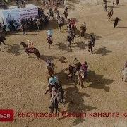Аламан Улак Камал Палван Кадамжай Алтын Кур 2019