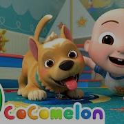 Pet Care Cocomelon