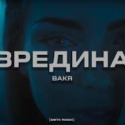 Bakr Mbts Вредина Remix