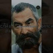 Песни О Жизни Со Смыслом
