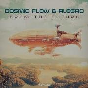 Cosmic Flow From The Future