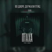 Птаха Во Дворе Держали Птиц Feat Тато