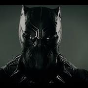 Black Panther Don T Get In My Way