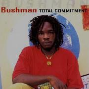 Send Dem Come Bushman