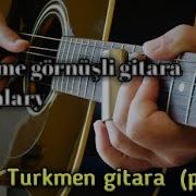 Turkmen Gitara Prikol Aydymlary