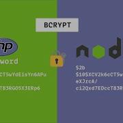 Password Hashing With Bcrypt A Deep Dive Example Kaizen Codes